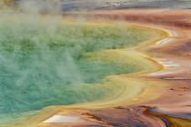 Elevated view of Grand Prismatic Spring and patterns in bact... von Danita Delimont