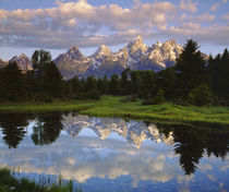 USA, Wyoming, Grand Teton National Park by Danita Delimont