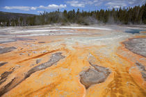 Upper Geyser Basin, Yellowstone National Park, Wyoming, USA. von Danita Delimont