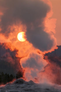 Old Faithful Geyser Yellowstone National Park, Wyoming, USA. by Danita Delimont