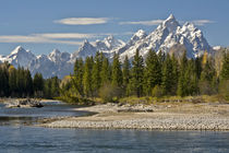 Pacific Creek, Moran Junction, Grand Teton National Park, Wyoming, USA von Danita Delimont