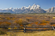 Autumn, from Cunningham Cabin Area, Grand Tetons, Grand Teto... von Danita Delimont