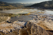 Mammoth Hot Springs, Yellowstone National Park, Wyoming, USA by Danita Delimont