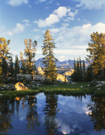 USA, Wyoming, Landscape with reflection of lake by Danita Delimont