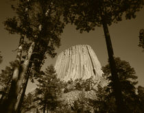 'USA, Wyoming, Hulett, Devil's Tower National Monument at dusk' by Danita Delimont