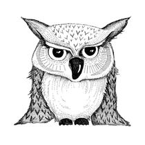 grumpy owl von Sabrina Ziegenhorn