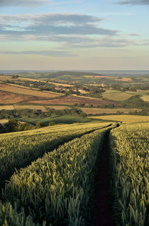 The Exe Valley by Pete Hemington