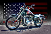 Harley USA Zyklus I von Ingo Mai