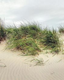 Grüne Düne bei Wind von Antje Krenz