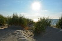 Sonne über den Dünen an der Nordseeküste von Claudia Evans