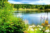 landscape with water in Sweden by Thomas Preibsch