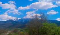 Spring landscape von Maria Preibsch