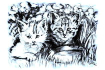 Baby Cats In Blue And White by gittagsart