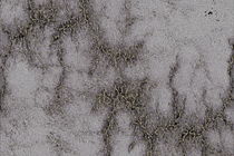 Grey Marble Relief Black And Silver Vined von gittagsart