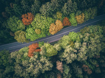 Herbstblick by Marcus Hennen