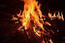 Große Flammen am Lagerfeuer von Claudia Evans