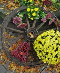 Wagenrad als Herbstdeko von assy