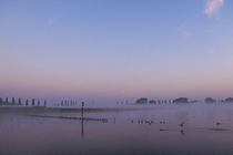 Morgendämmerung auf der Halbinsel Höri - Bodensee von Christine Horn