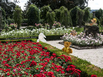 Besuch im Rosengarten von Anni Freiburgbärin von Huflattich