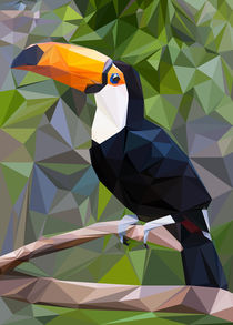 Toucan Low Poly von William Rossin