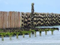 Le moules de Bretagne by minnewater