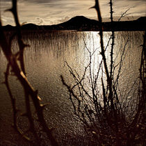 Duenensee von Florian Reckert