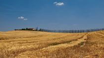 Val d'Orcia in der Toskana/Tuscany by Thomas Lotze