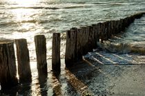 Holzbuhnen in der Nordsee von Claudia Evans