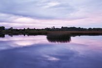 Inchiquin Lough by Thomas Lotze