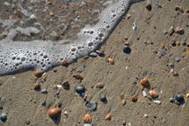 Bunte Muscheln am  Strand von Claudia Evans