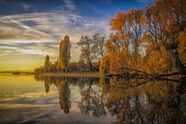 Halbinsel Mettnau in herbstlichen Farben - Bodensee by Christine Horn