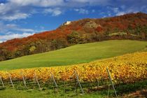 Goldener Herbst bei Jena/Golden Autumn near Jena von Thomas Lotze