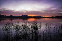 Abendstimmung am Hopfensee - Ostallgäu von Christine Horn