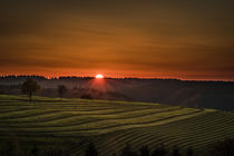 Sonnenuntergang in Herscheid von Simone Rein