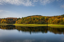 Herbst an der Versetalsperre von Simone Rein