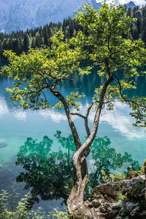 Lago di Fusine von Mathias Karner