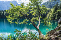 Lago di Fusine by Mathias Karner