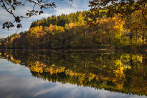 Herbst an der Oestertalsperre von Simone Rein