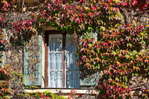 An der Schlossmauer - Altes Fenster mit wildem Wein von Chris Berger