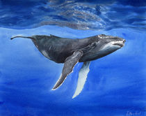 Underwater whale, HUMPBACK WHALE, deep water, watercolor von Ellen Paul watercolor