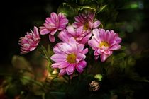Zarte Blumen von Claudia Evans