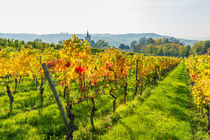 Herbst an der Burgkirche 30 von Erhard Hess