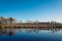 Ein Herbsttag am Fünfeckweiher im Pfrunger-Burgweiler Ried by Christine Horn