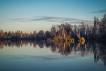 Herbst am Nillsee - Pfrunger-Burgweiler Ried by Christine Horn