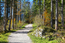 Sonniger Herbsttag by Bernhard Kaiser