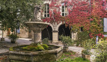 Saignon, Brunnen, Provence, Frankreich  by travelstock44