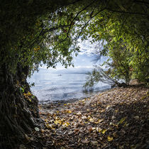 Traunsee von Michaela Pucher