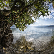 Traunsee von Michaela Pucher