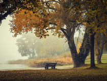 'Herbstliche Ruhe am See' by Christine Horn