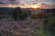 Sonnenaufgang am Totengrund in Lüneburger Heide von Dmytro Oleiynyk